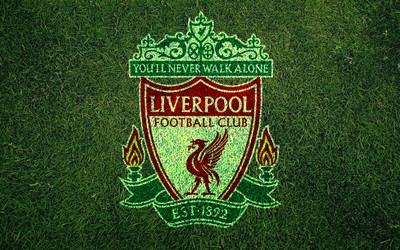 MK体育动态-刚果主帅成为战术天才代名词