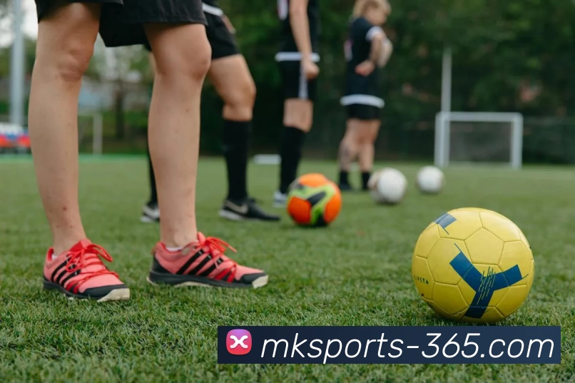 MK体育365服务体系